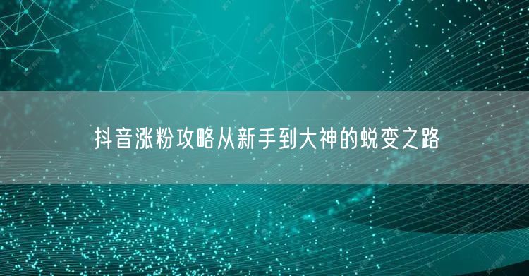 抖音涨粉攻略从新手到大神的蜕变之路