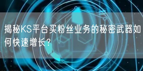 揭秘KS平台买粉丝业务的秘密武器如何快速增长？