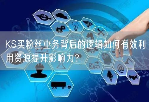 KS买粉丝业务背后的逻辑如何有效利用资源提升影响力？