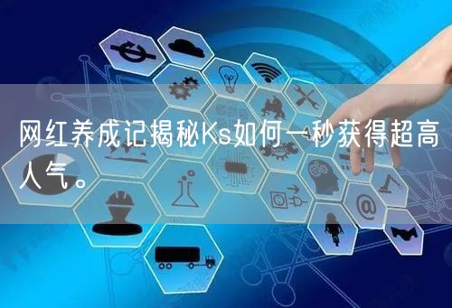 网红养成记揭秘Ks如何一秒获得超高人气。