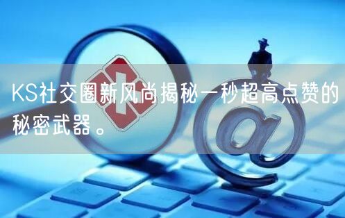 KS社交圈新风尚揭秘一秒超高点赞的秘密武器。