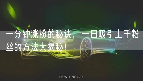 一分钟涨粉的秘诀，一日吸引上千粉丝的方法大揭秘！