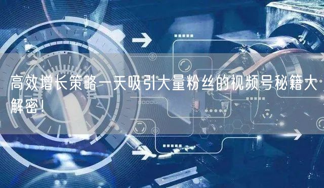 高效增长策略一天吸引大量粉丝的视频号秘籍大解密！