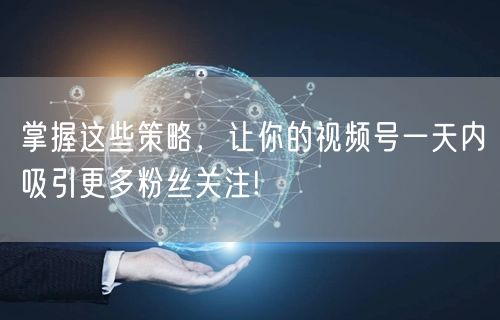 掌握这些策略，让你的视频号一天内吸引更多粉丝关注!