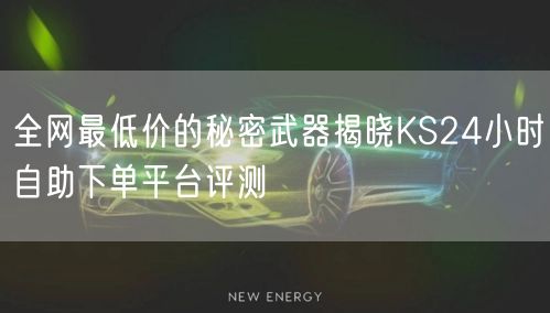 全网最低价的秘密武器揭晓KS24小时自助下单平台评测