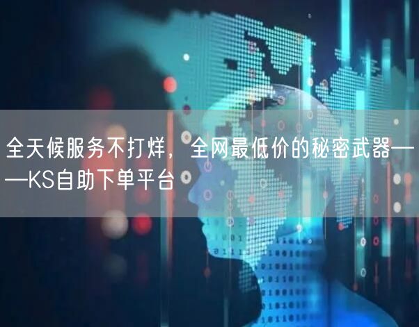 全天候服务不打烊，全网最低价的秘密武器——KS自助下单平台