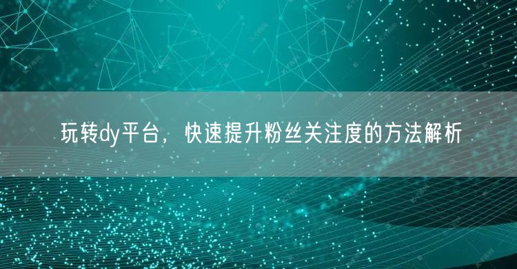 玩转dy平台，快速提升粉丝关注度的方法解析