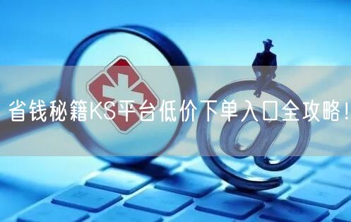 省钱秘籍KS平台低价下单入口全攻略！
