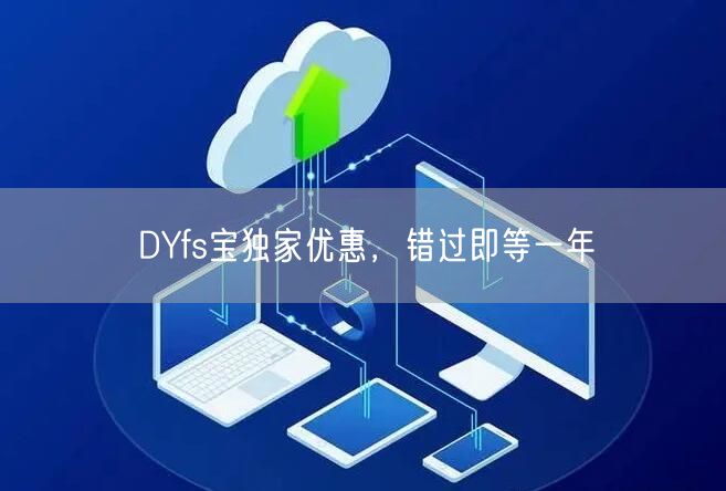 DYfs宝独家优惠，错过即等一年