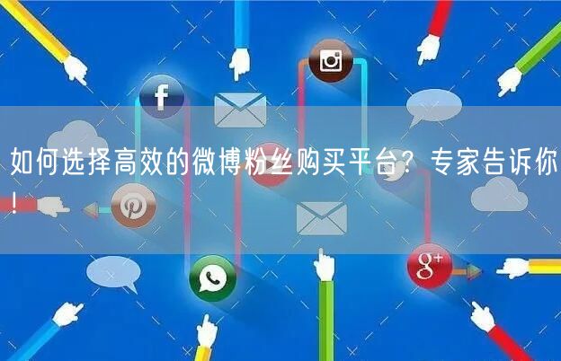 如何选择高效的微博粉丝购买平台？专家告诉你！