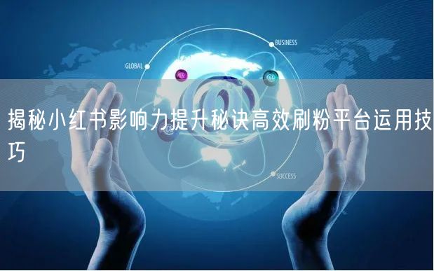 揭秘小红书影响力提升秘诀高效刷粉平台运用技巧