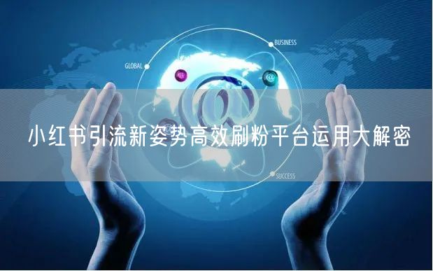 小红书引流新姿势高效刷粉平台运用大解密