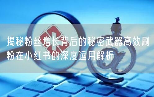 揭秘粉丝增长背后的秘密武器高效刷粉在小红书的深度运用解析
