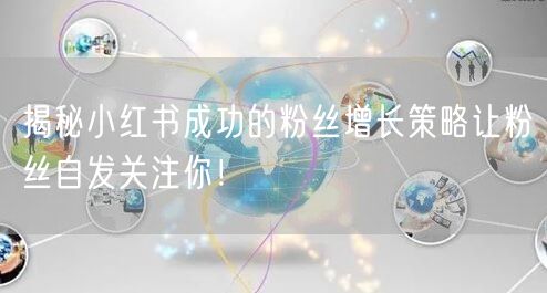 揭秘小红书成功的粉丝增长策略让粉丝自发关注你！