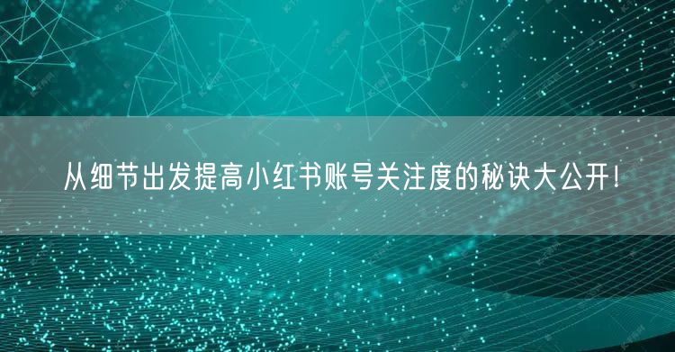 从细节出发提高小红书账号关注度的秘诀大公开！