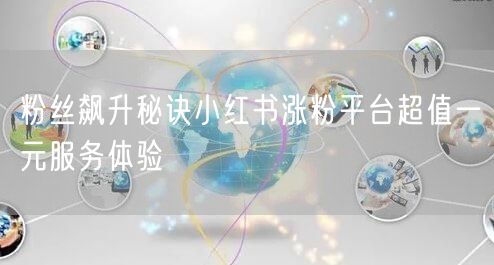 粉丝飙升秘诀小红书涨粉平台超值一元服务体验