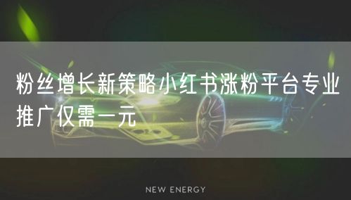 粉丝增长新策略小红书涨粉平台专业推广仅需一元