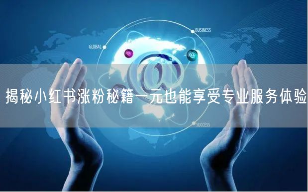 揭秘小红书涨粉秘籍一元也能享受专业服务体验