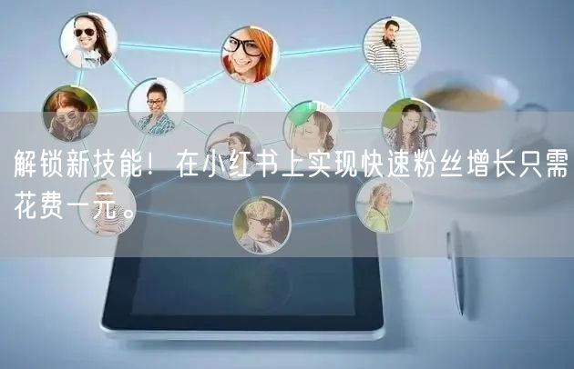 解锁新技能！在小红书上实现快速粉丝增长只需花费一元。
