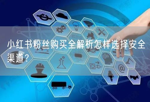 小红书粉丝购买全解析怎样选择安全渠道？