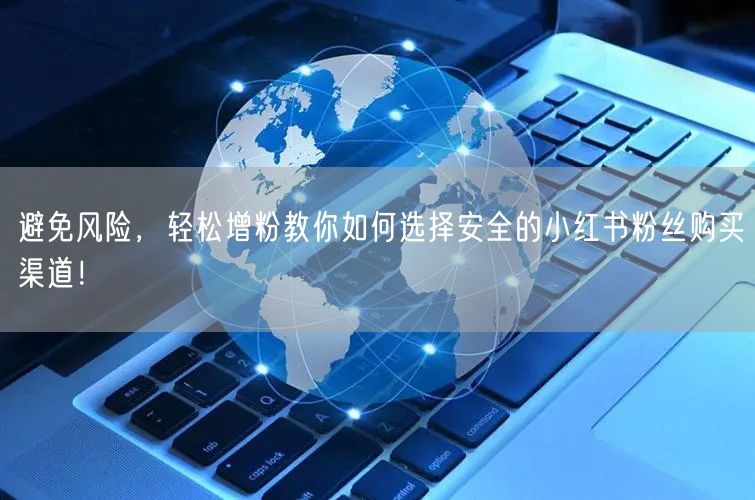 避免风险，轻松增粉教你如何选择安全的小红书粉丝购买渠道！