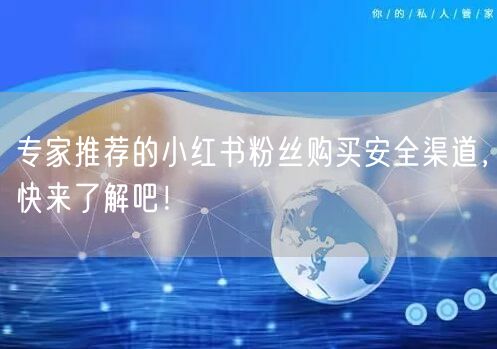 专家推荐的小红书粉丝购买安全渠道，快来了解吧！