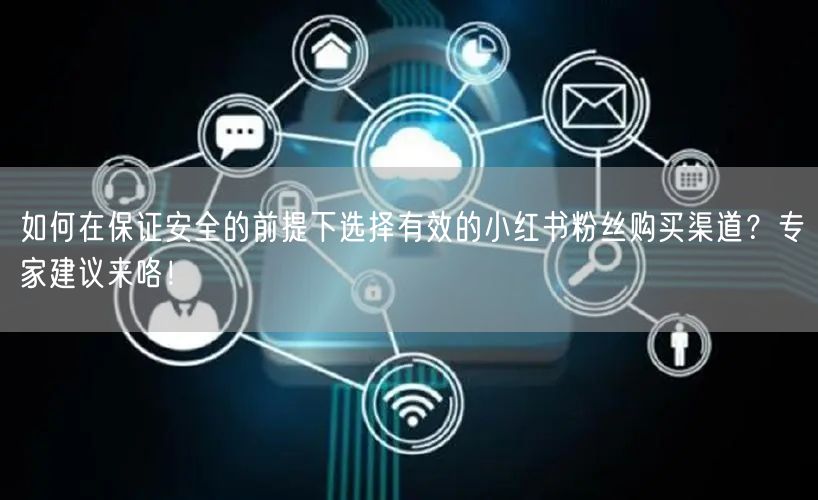 如何在保证安全的前提下选择有效的小红书粉丝购买渠道？专家建议来咯！