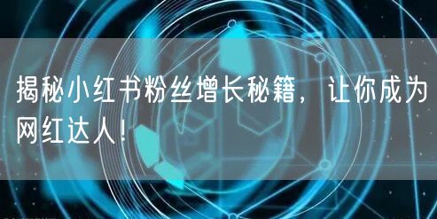 揭秘小红书粉丝增长秘籍，让你成为网红达人！
