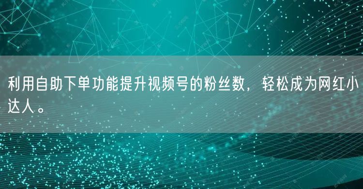 利用自助下单功能提升视频号的粉丝数，轻松成为网红小达人。