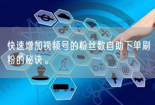 快速增加视频号的粉丝数自助下单刷粉的秘诀。