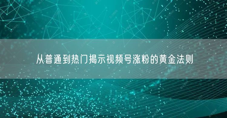 从普通到热门揭示视频号涨粉的黄金法则