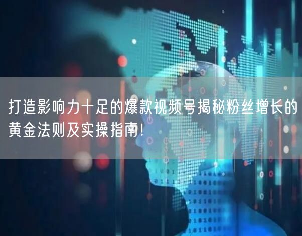 打造影响力十足的爆款视频号揭秘粉丝增长的黄金法则及实操指南！