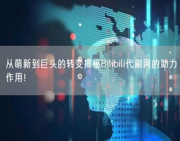 从萌新到巨头的转变揭秘Bilibili代刷网的助力作用！