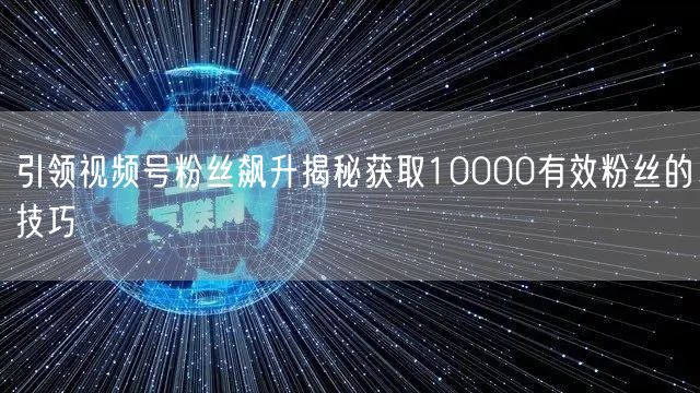 引领视频号粉丝飙升揭秘获取10000有效粉丝的技巧