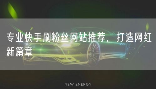 专业快手刷粉丝网站推荐，打造网红新篇章