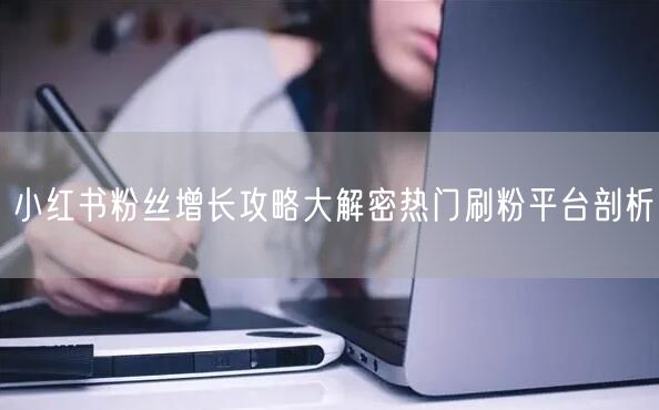 小红书粉丝增长攻略大解密热门刷粉平台剖析