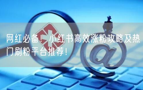 网红必备！小红书高效涨粉攻略及热门刷粉平台推荐！