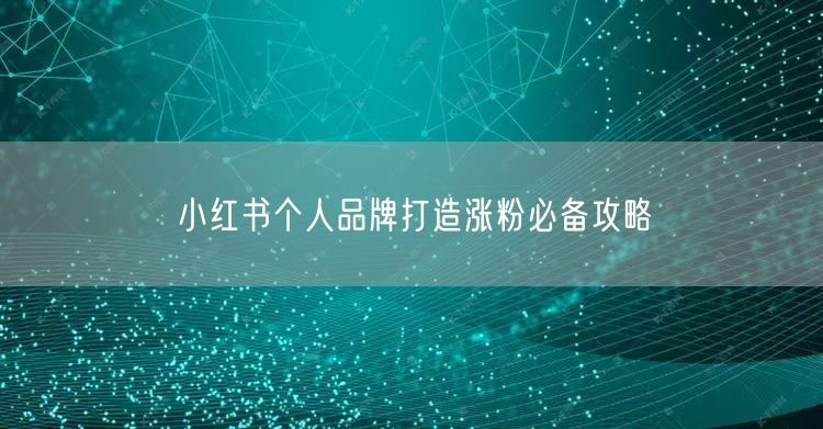 小红书个人品牌打造涨粉必备攻略