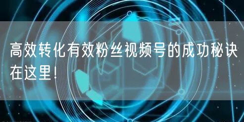 高效转化有效粉丝视频号的成功秘诀在这里！