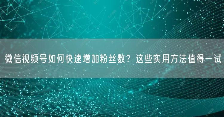 微信视频号如何快速增加粉丝数？这些实用方法值得一试