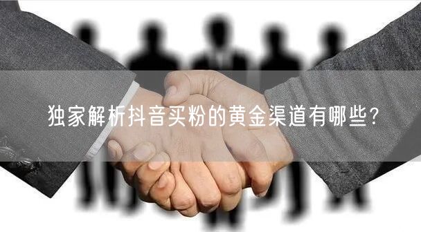 独家解析抖音买粉的黄金渠道有哪些？