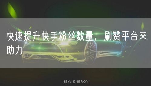 快速提升快手粉丝数量，刷赞平台来助力