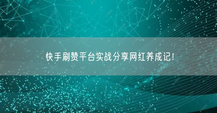 快手刷赞平台实战分享网红养成记！