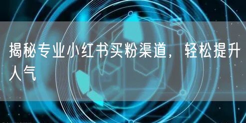 揭秘专业小红书买粉渠道，轻松提升人气