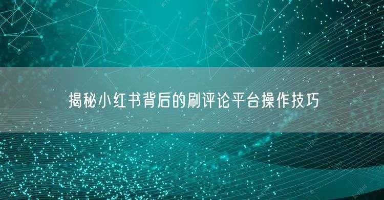 揭秘小红书背后的刷评论平台操作技巧