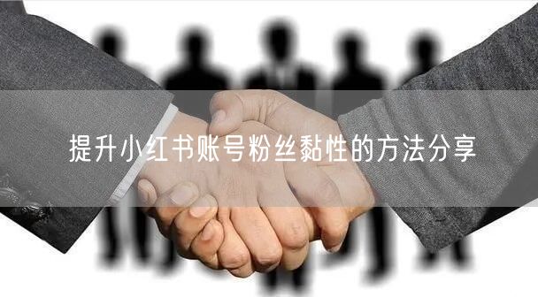 提升小红书账号粉丝黏性的方法分享