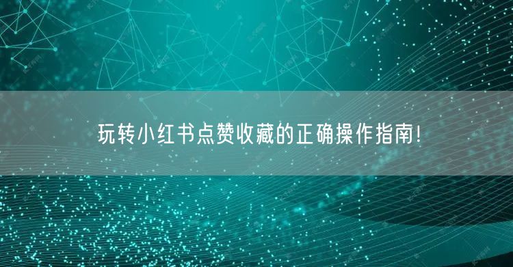 玩转小红书点赞收藏的正确操作指南！