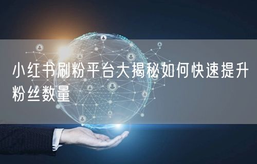 小红书刷粉平台大揭秘如何快速提升粉丝数量