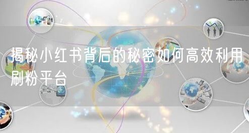 揭秘小红书背后的秘密如何高效利用刷粉平台