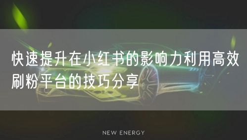 快速提升在小红书的影响力利用高效刷粉平台的技巧分享